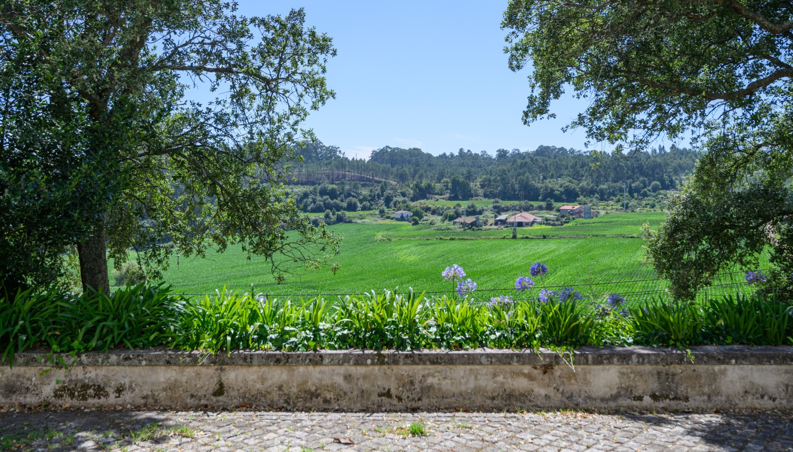 Property with gardens and pool, for sale, in Barcelos, North of Portugal_231532