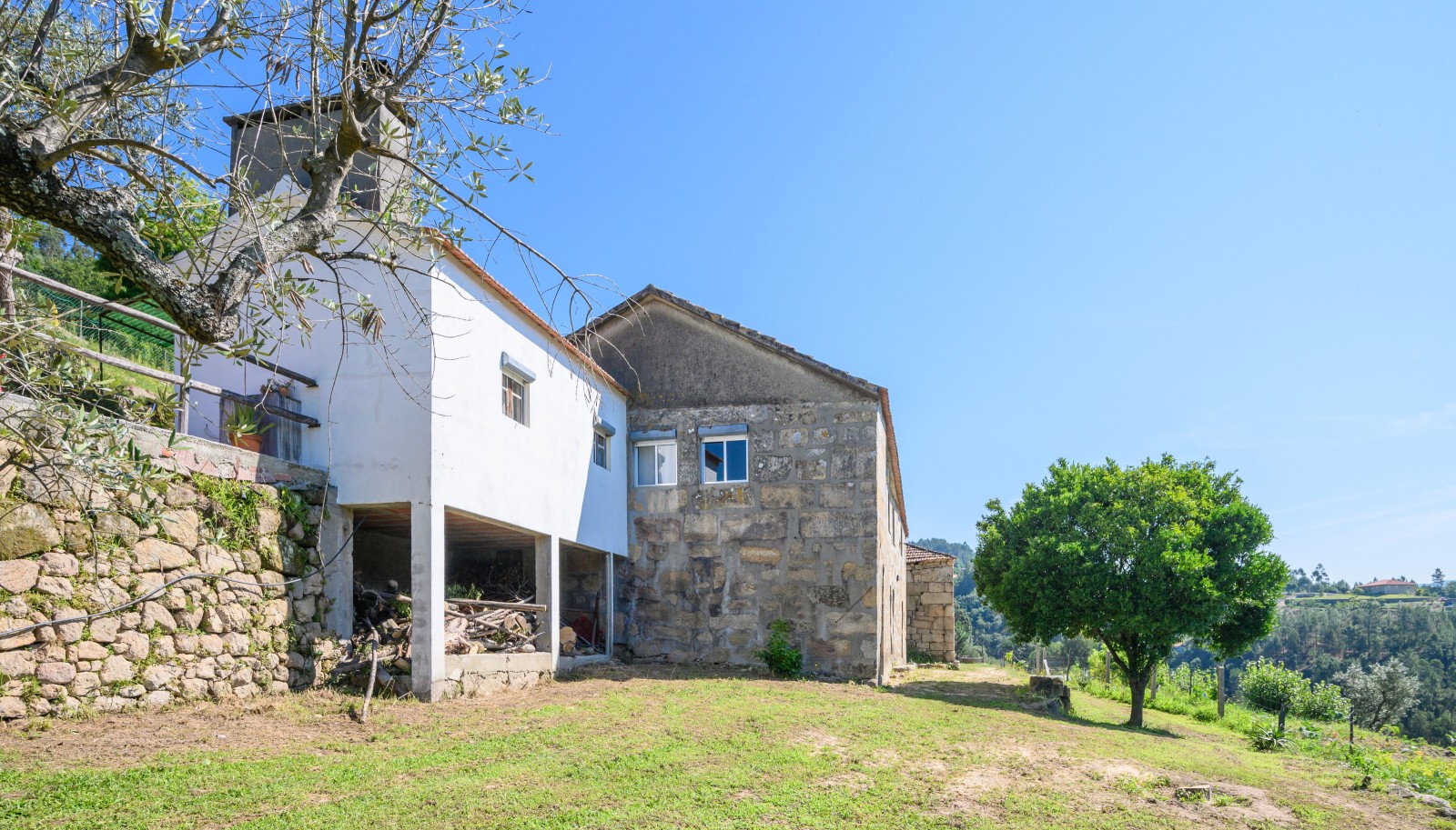 Farm for sale, next to the River Douro, in Marco de Canaveses, Portugal_231570