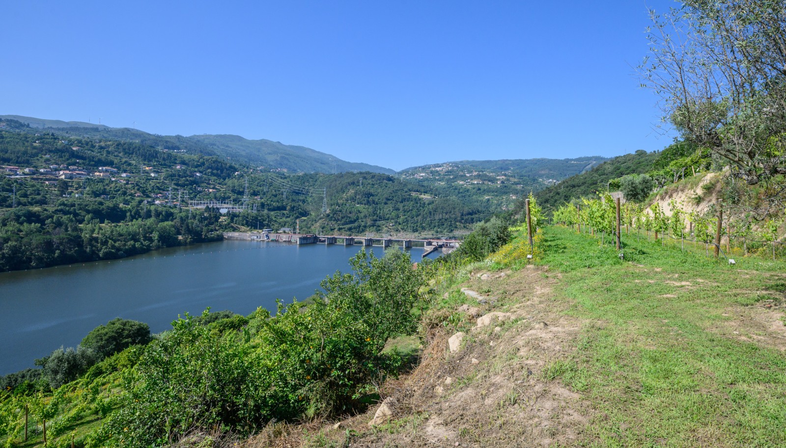 Farm for sale, next to the River Douro, in Marco de Canaveses, Portugal_231573