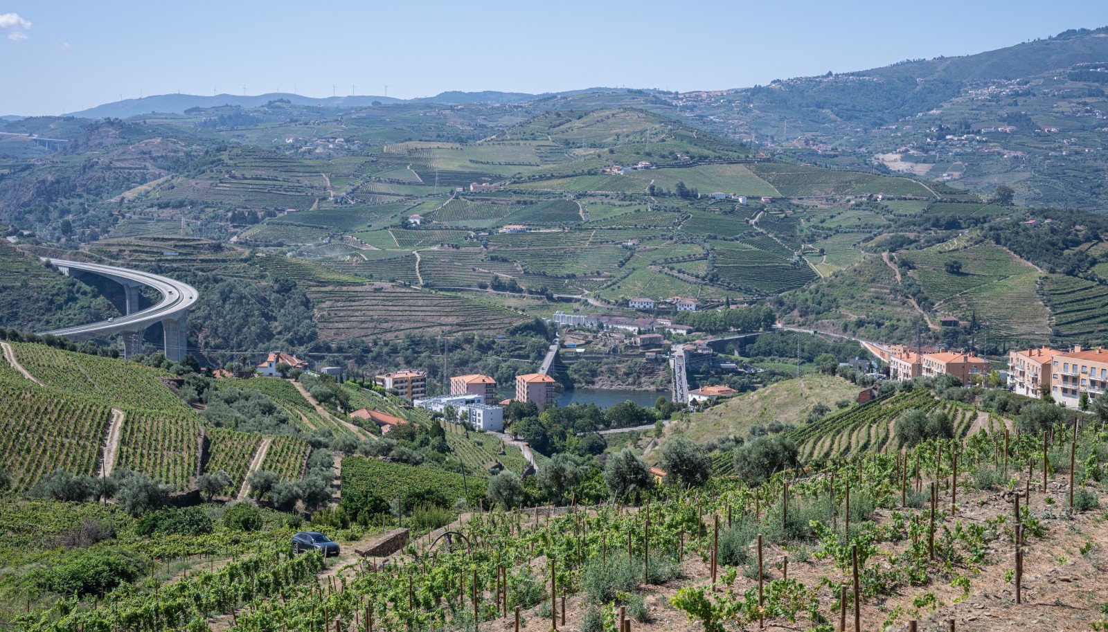 Vineyard, for sale, in Peso da Régua, Douro Valley, Portugal_233761