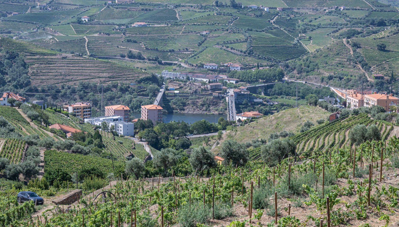 Vineyard, for sale, in Peso da Régua, Douro Valley, Portugal_233762