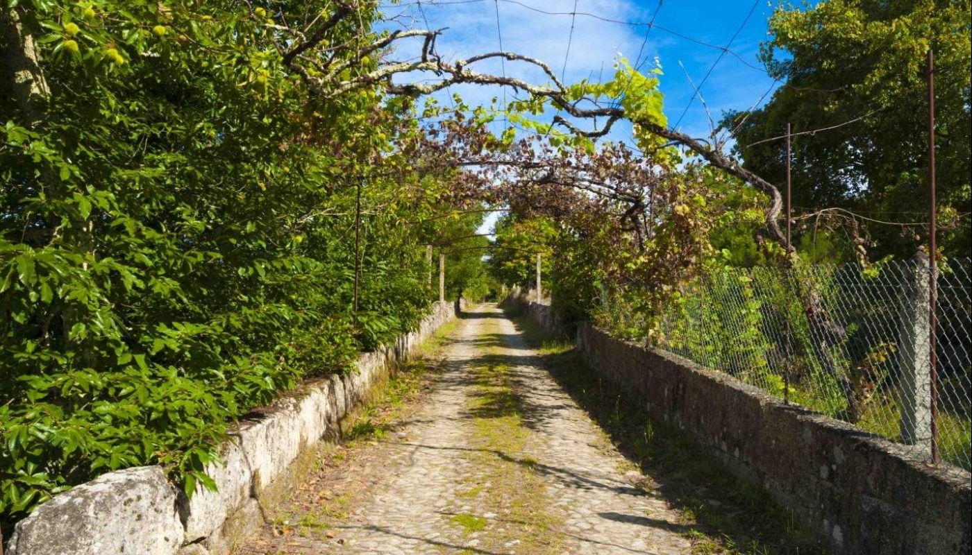 Bauernhaus mit Blick über das Tal, Marco de Canaveses, Portugal_23750