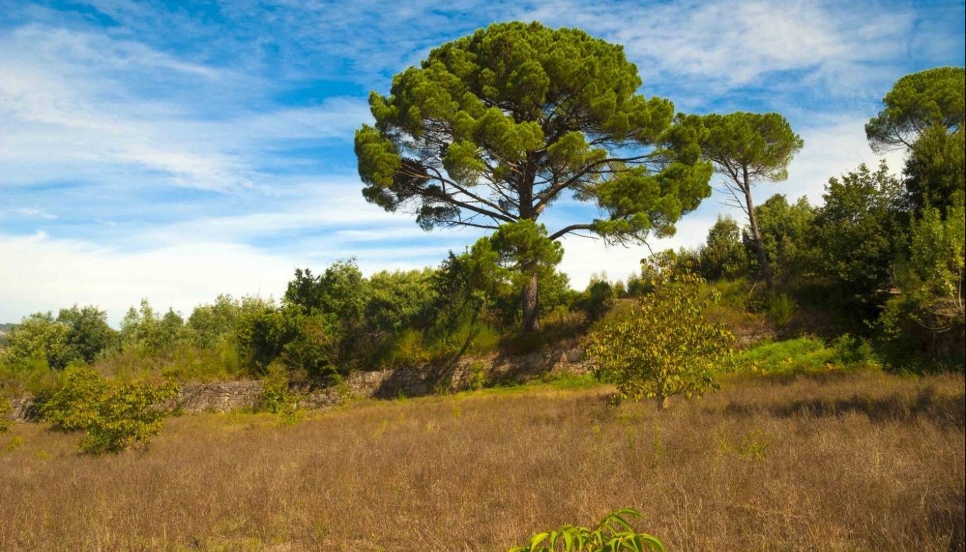 Bauernhaus mit Blick über das Tal, Marco de Canaveses, Portugal_23753