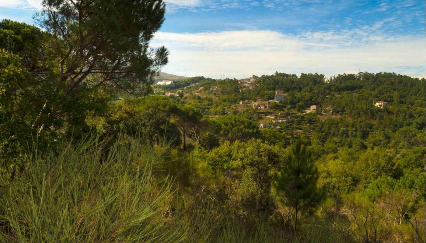 Bauernhaus mit Blick über das Tal, Marco de Canaveses, Portugal_23754