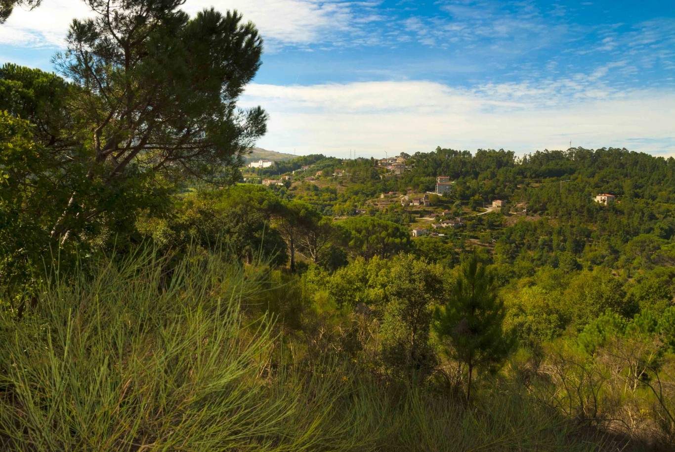 Quinta com vistas sobre o vale, Marco de Canaveses, Portugal_23754