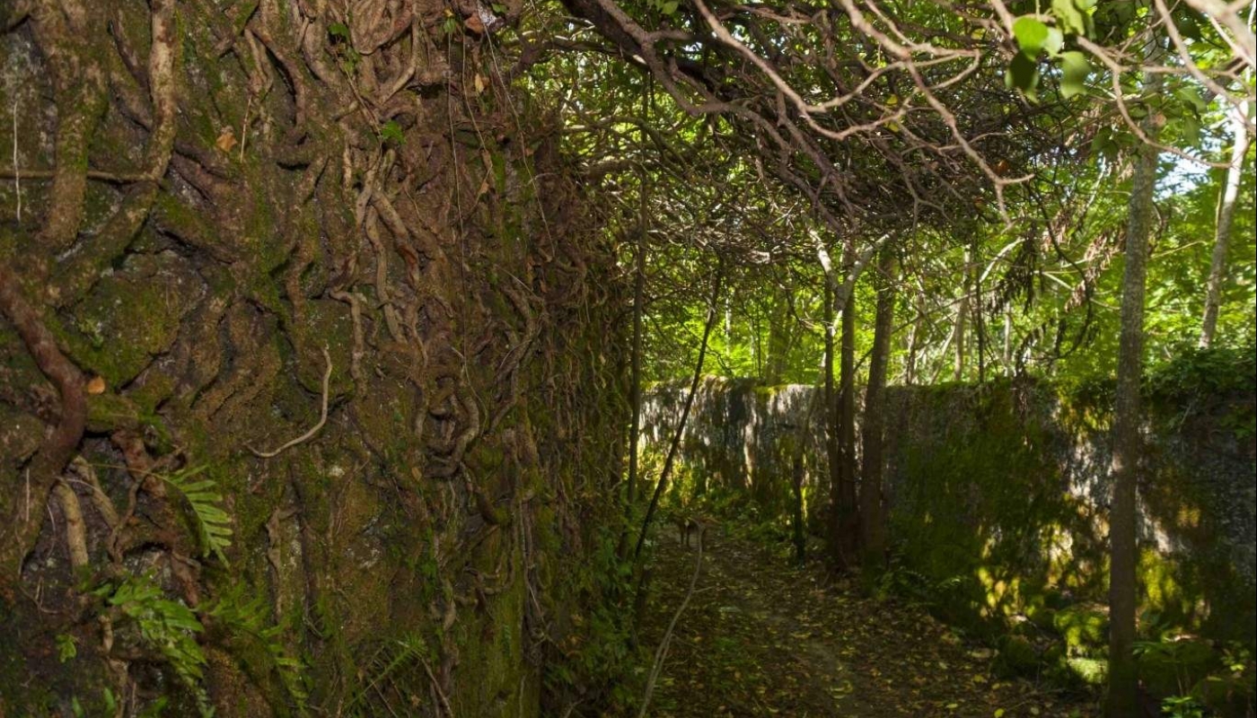 Bauernhaus mit Blick über das Tal, Marco de Canaveses, Portugal_23765