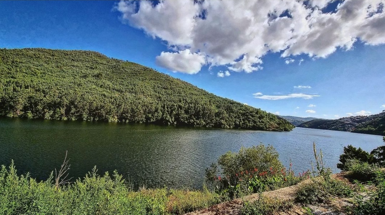 Land for sale in Penafiel, Portugal — €1,300,000