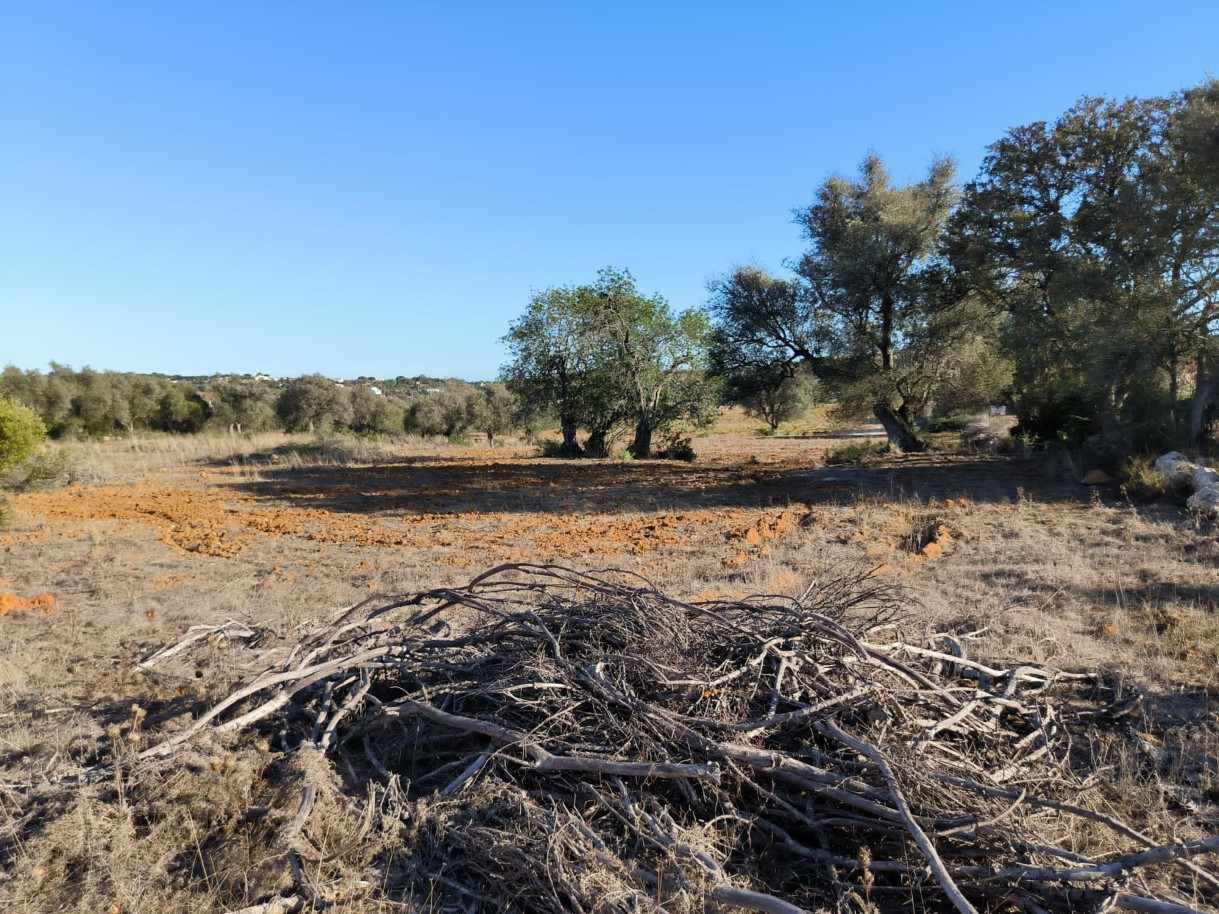 Großes Grundstück mit genehmigtem Projekt, zu verkaufen, in Lombos, Carvoeiro, Algarve_239190