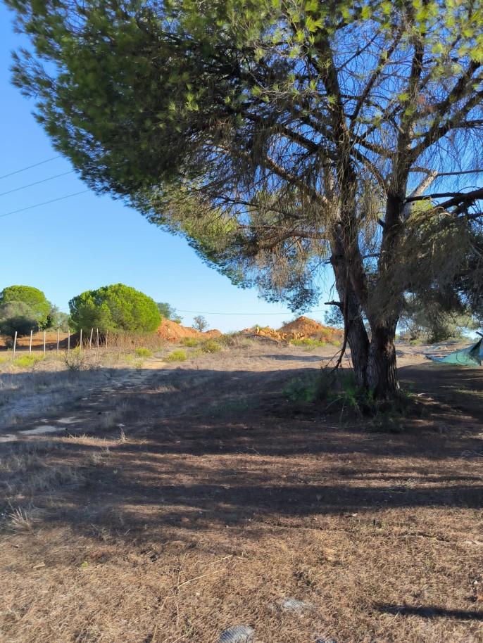 Grand terrain avec projet approuvé, à vendre, à Lombos, Carvoeiro, Algarve_239196