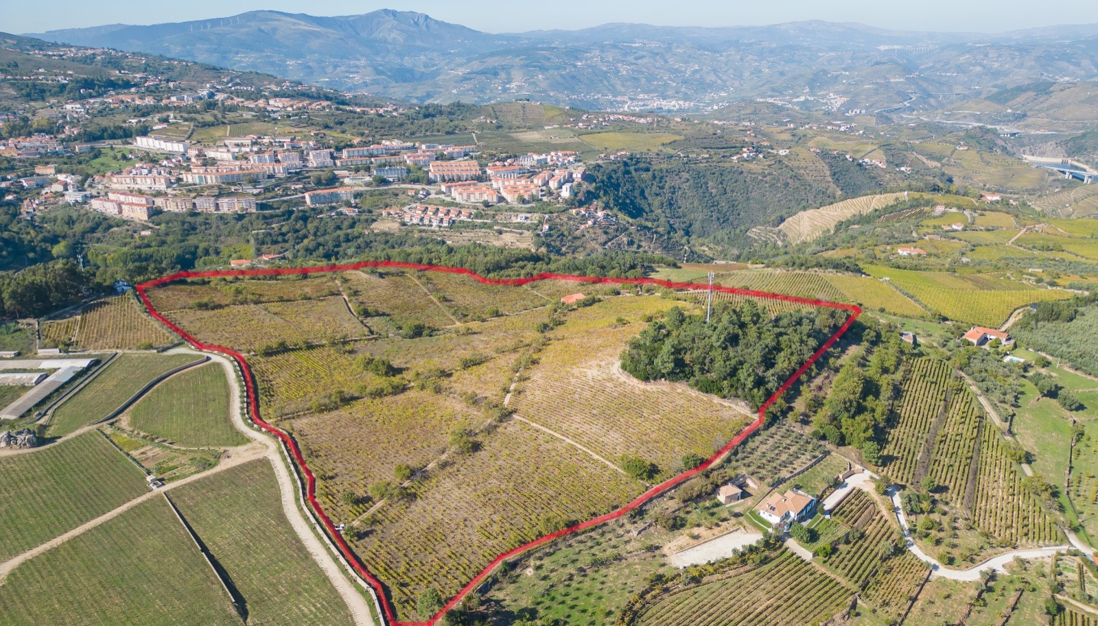 Domaine viticole - à vendre - Vallée du Douro  - Portugal_242016