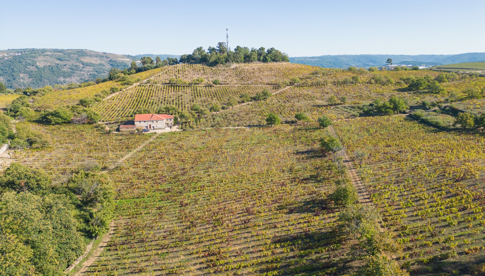 Quinta vinícola - para venda - Douro Valley _242028