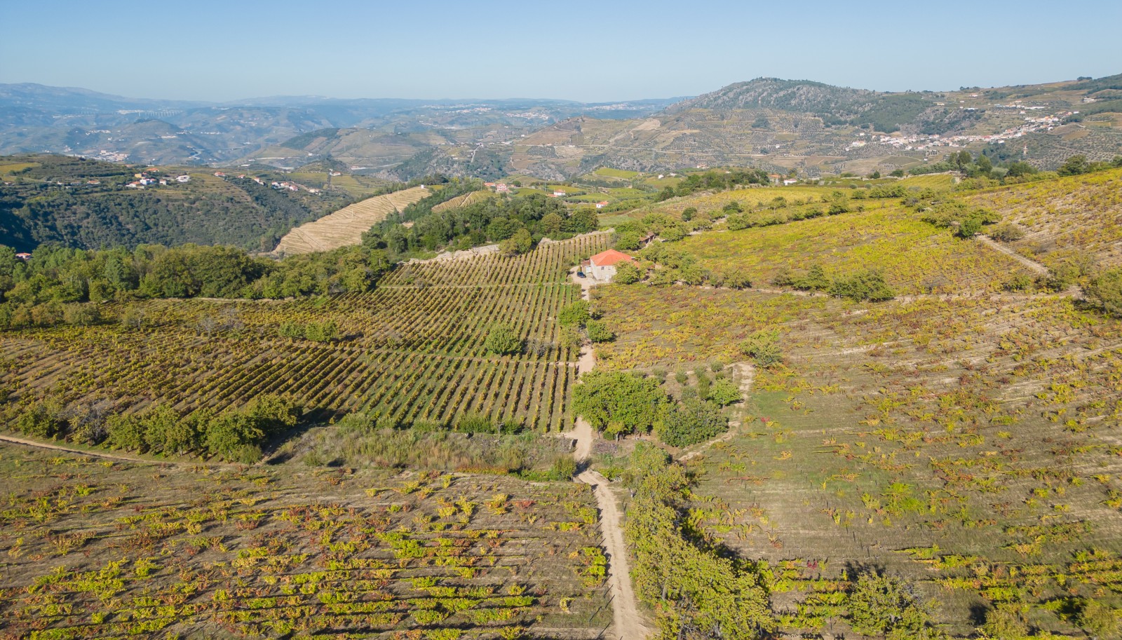Quinta vinícola - para venda - Douro Valley _242029