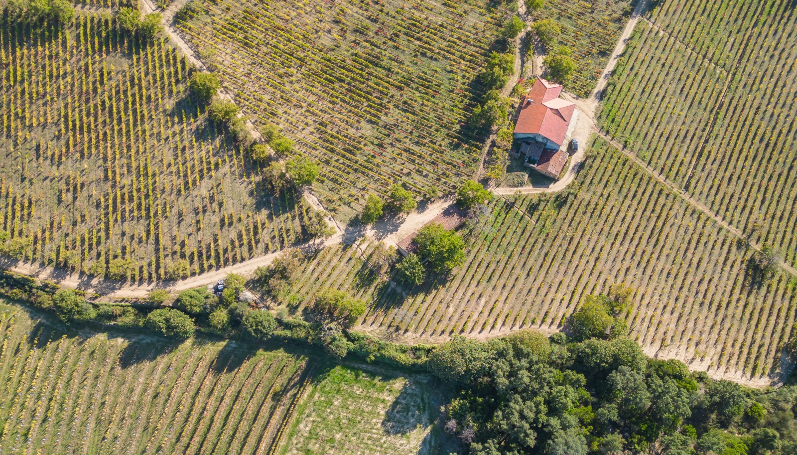 Quinta vinícola - para venda - Douro Valley _242030
