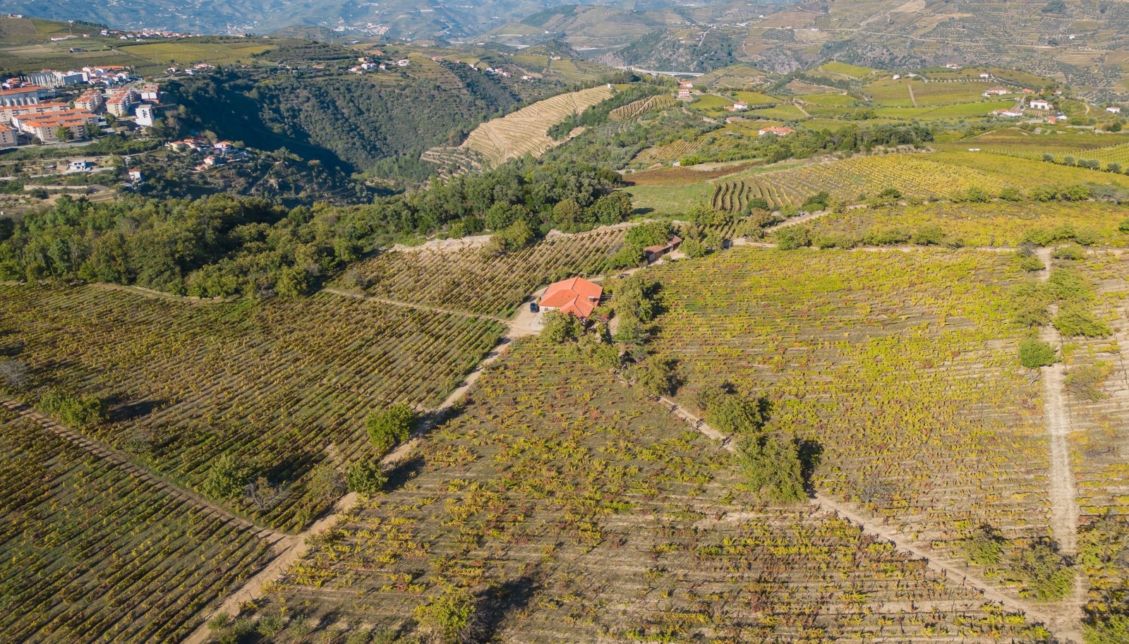 Domaine viticole - à vendre - Vallée du Douro  - Portugal_242033