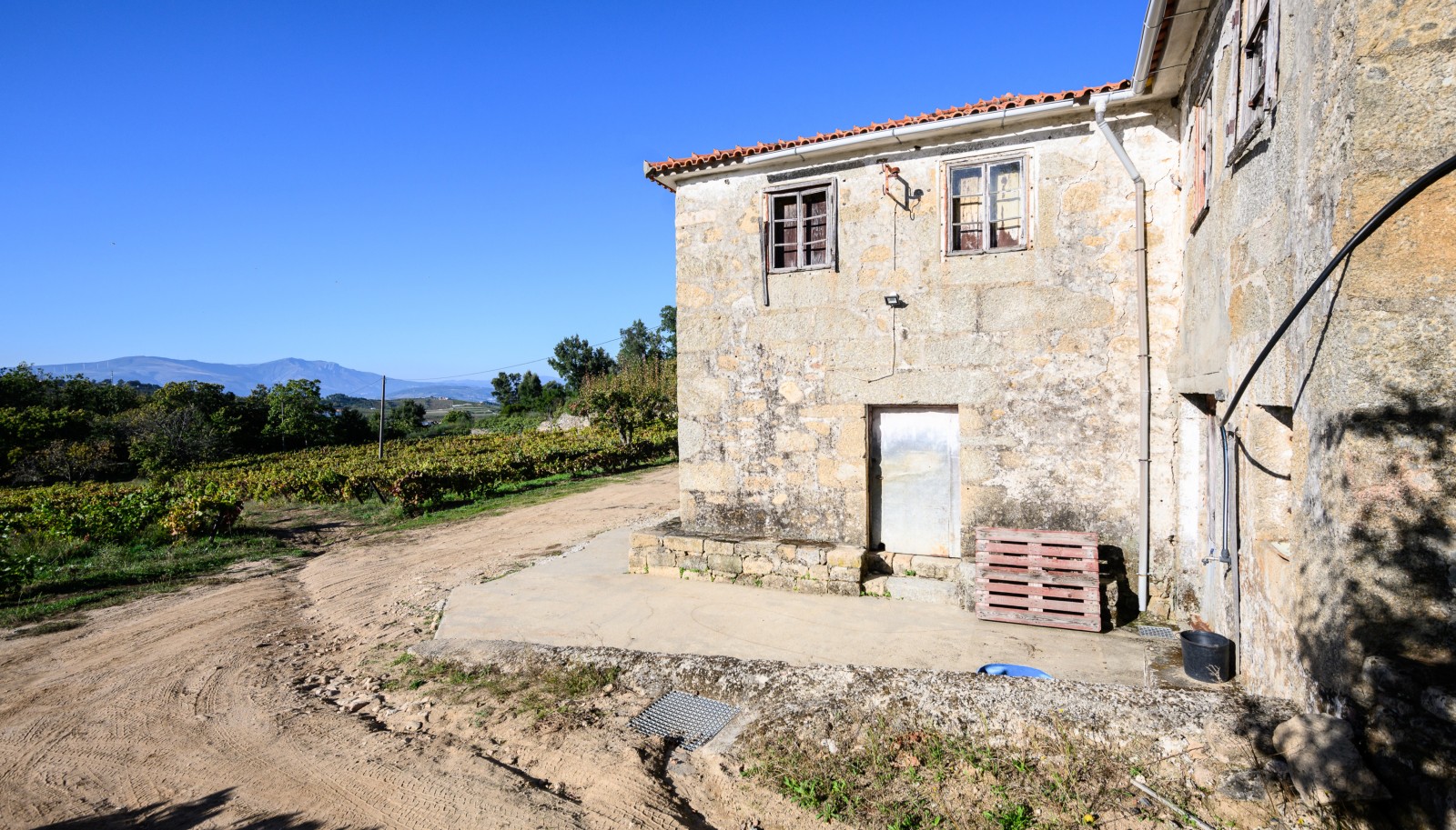 Quinta vinícola - para venda - Douro Valley _242061