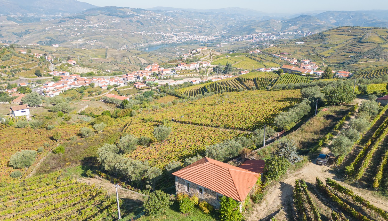 Weingut, zu verkaufen, in Cambres, Lamego, Douro Valley, Portugal_243030