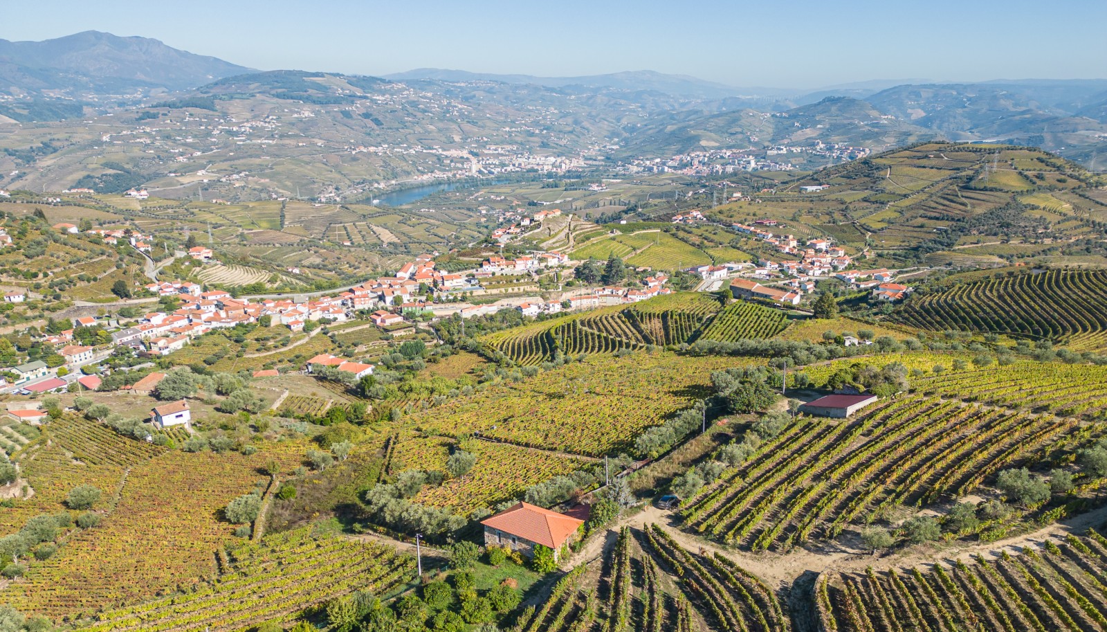 Weingut, zu verkaufen, in Cambres, Lamego, Douro Valley, Portugal_243032