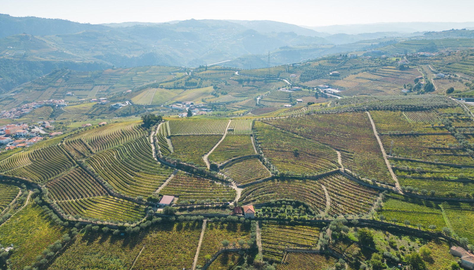Weingut, zu verkaufen, in Cambres, Lamego, Douro Valley, Portugal_243035