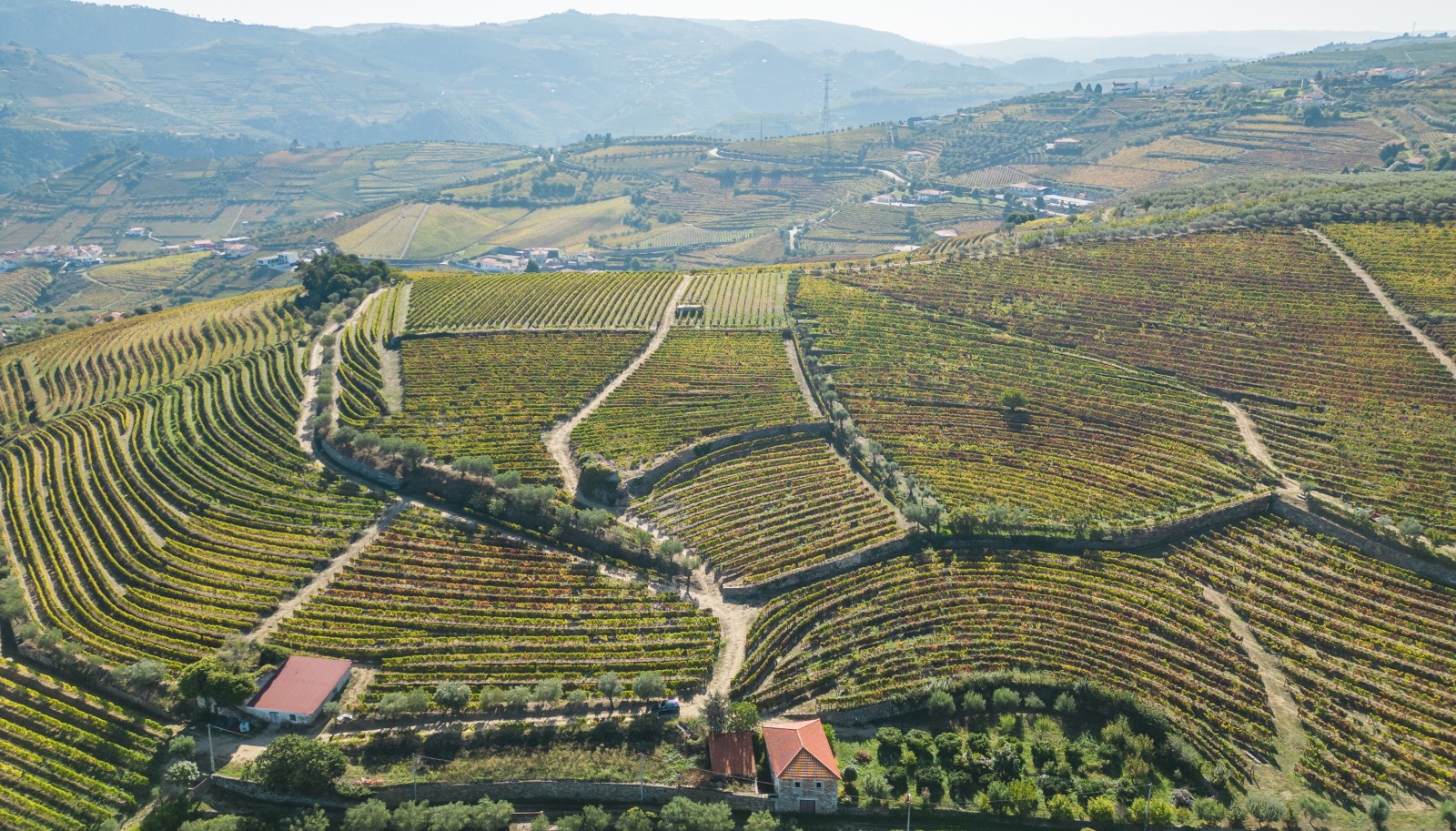 Weingut, zu verkaufen, in Cambres, Lamego, Douro Valley, Portugal_243036