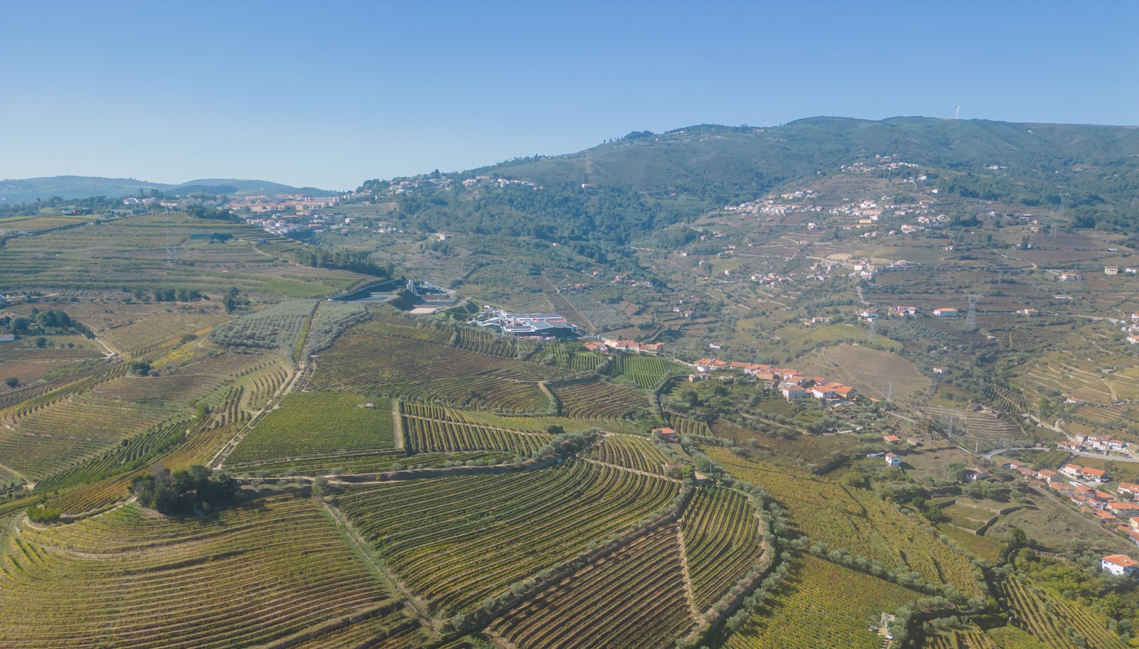 Quinta Vinícola, para venda, em Cambres, Lamego, Douro Valley_243043