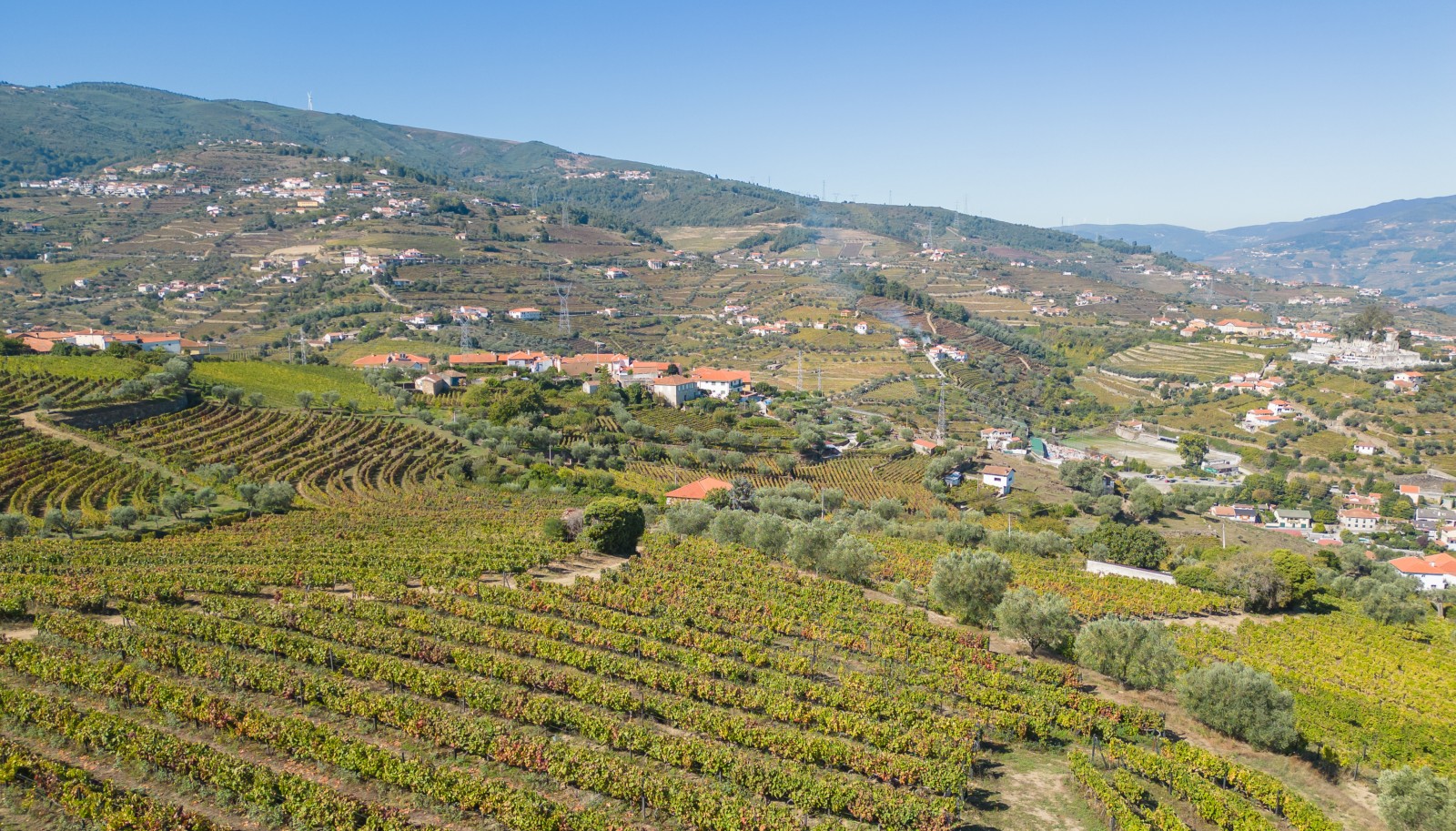 Weingut, zu verkaufen, in Cambres, Lamego, Douro Valley, Portugal_243046