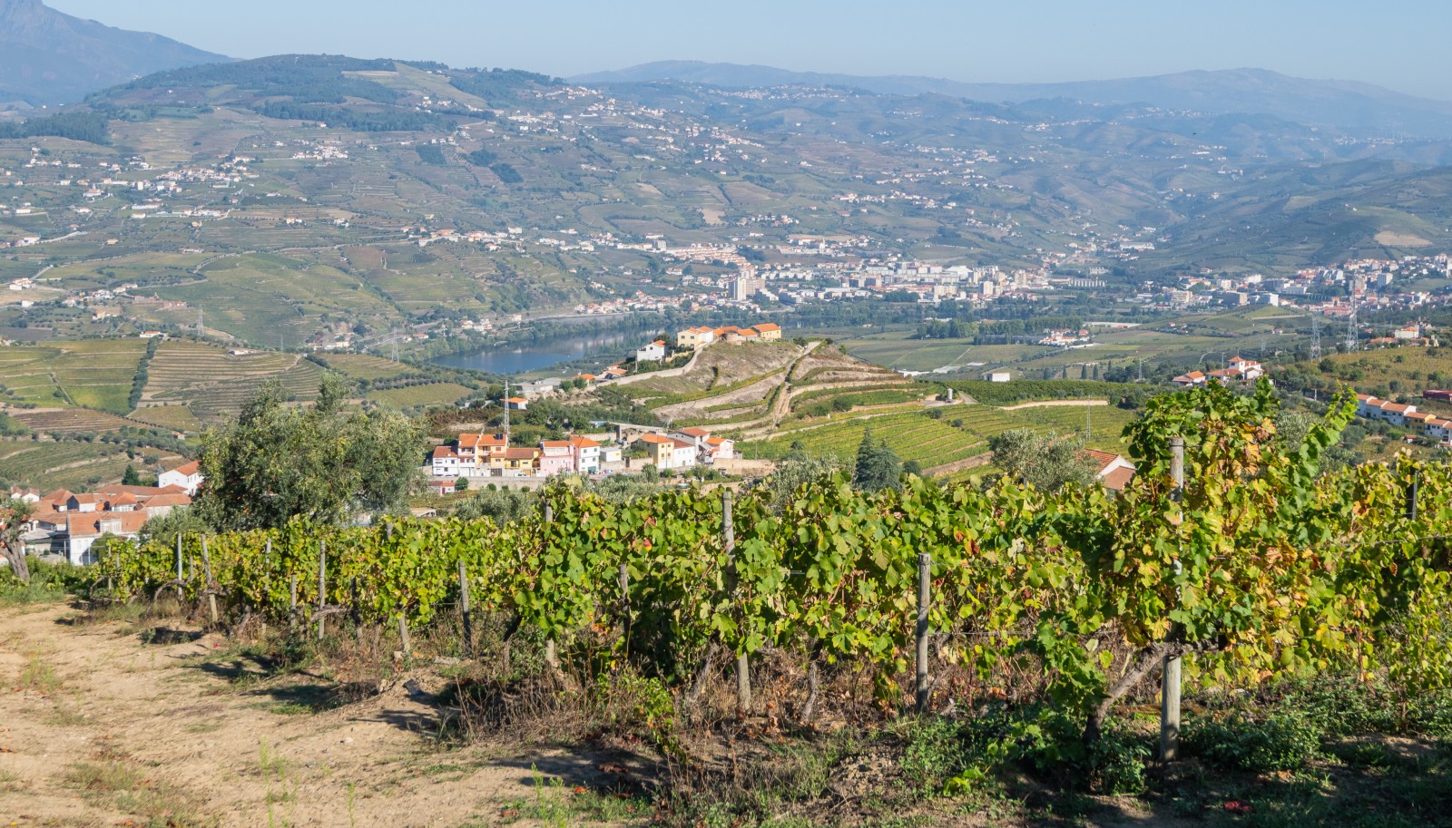 Finca vinícola, en venta, en Cambres, Lamego, Valle del Duero, Portugal_243052