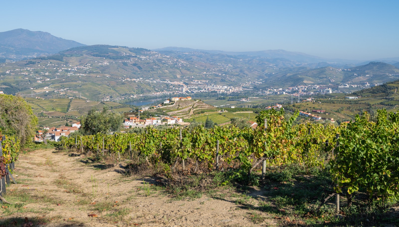 Weingut, zu verkaufen, in Cambres, Lamego, Douro Valley, Portugal_243053