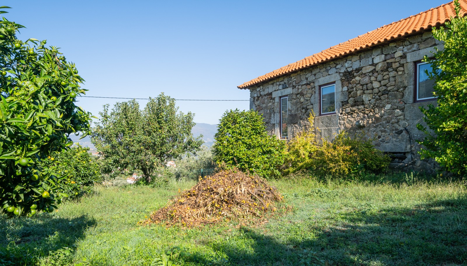 Quinta Vinícola, para venda, em Cambres, Lamego, Douro Valley_243058