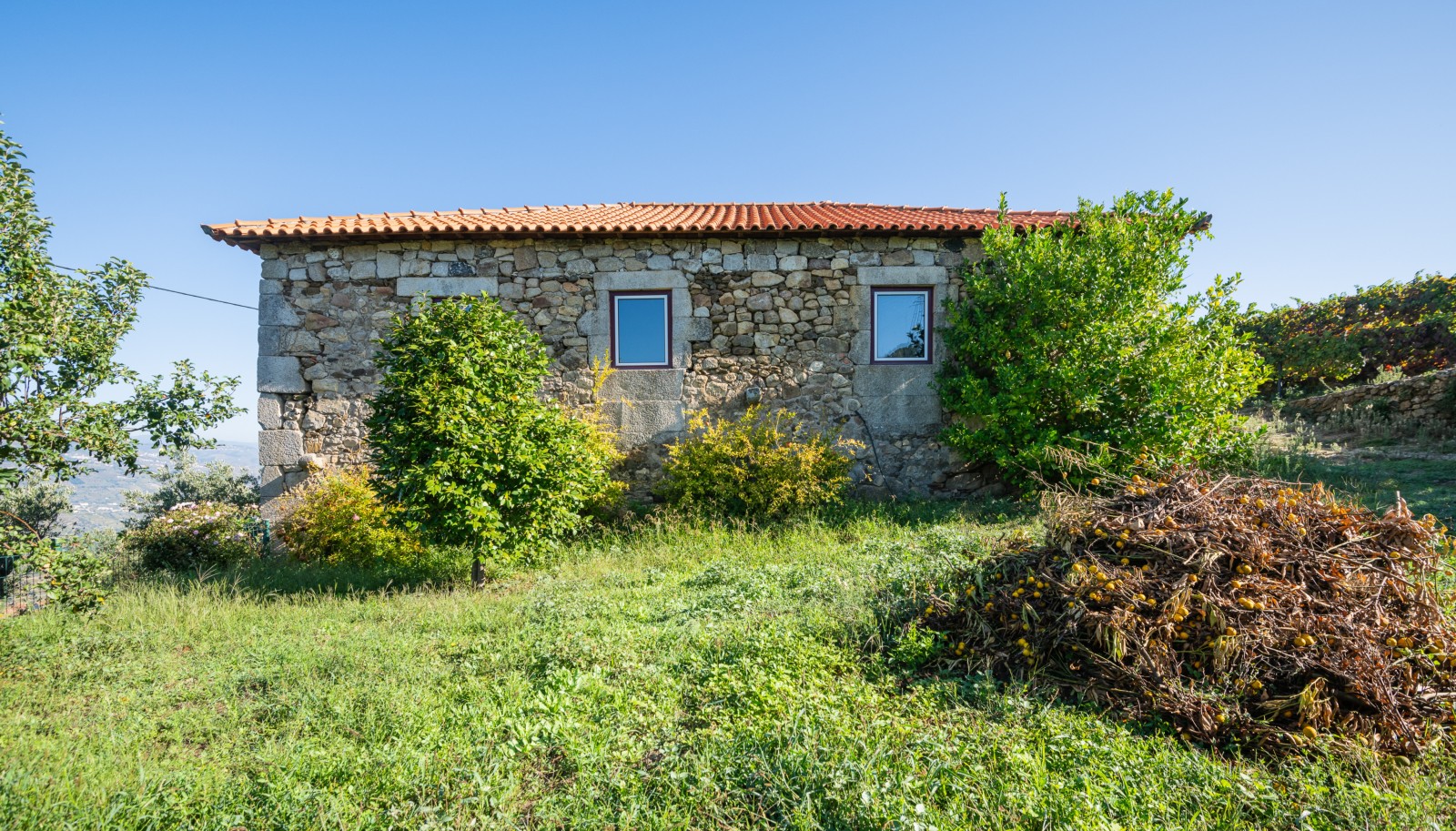 Quinta Vinícola, para venda, em Cambres, Lamego, Douro Valley_243059