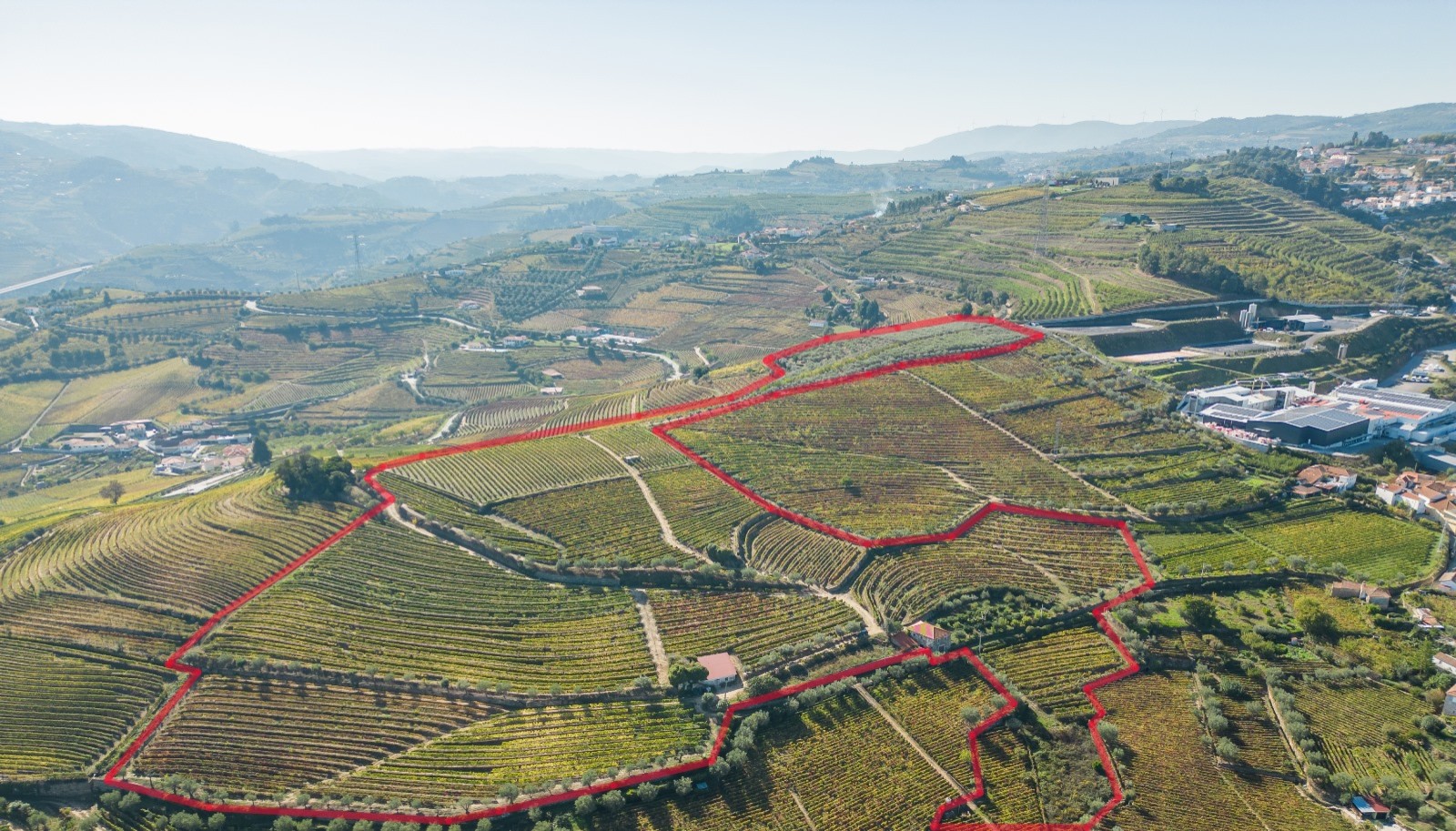 Finca vinícola, en venta, en Cambres, Lamego, Valle del Duero, Portugal_243111