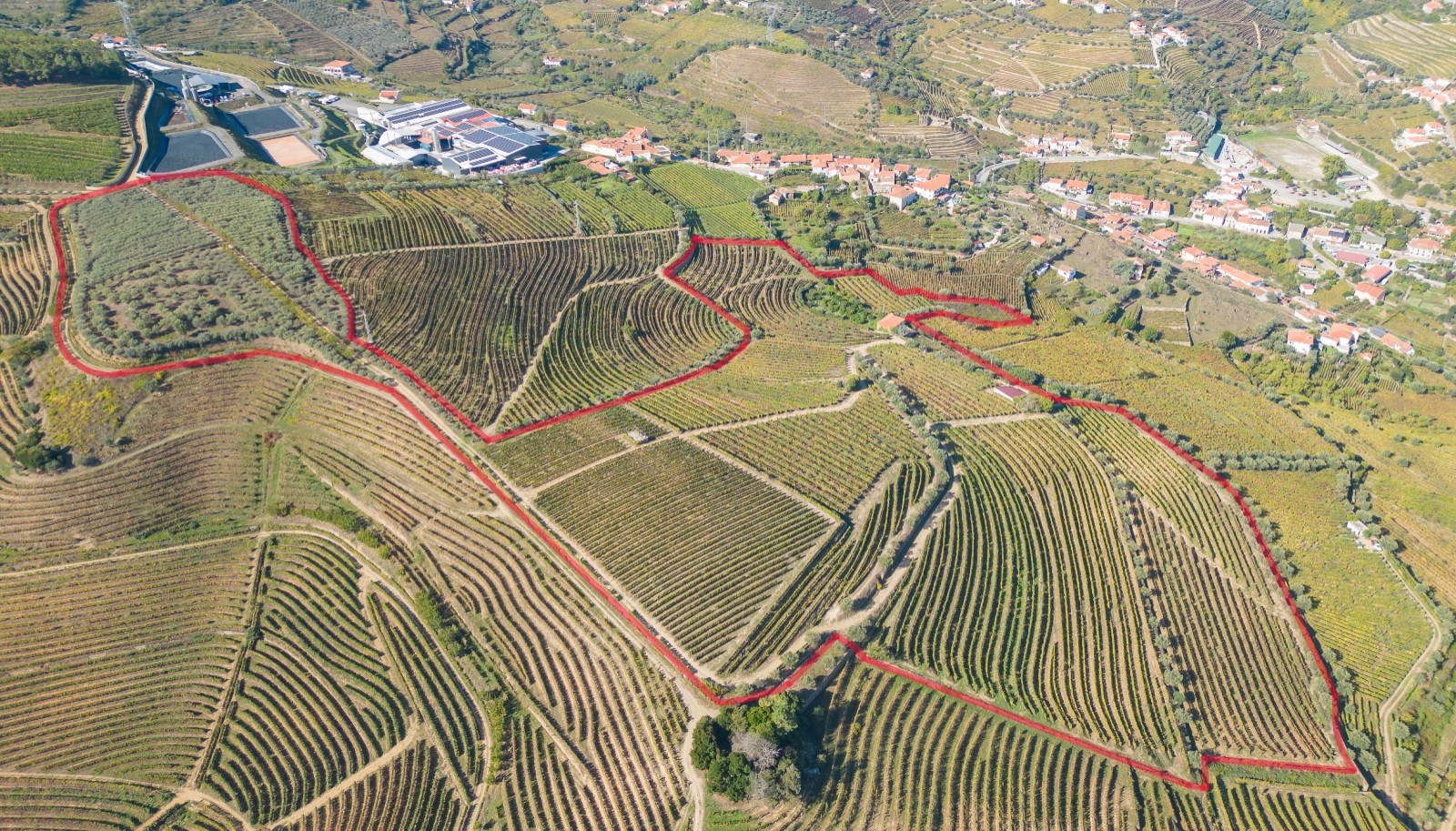 Weingut, zu verkaufen, in Cambres, Lamego, Douro Valley, Portugal_243112