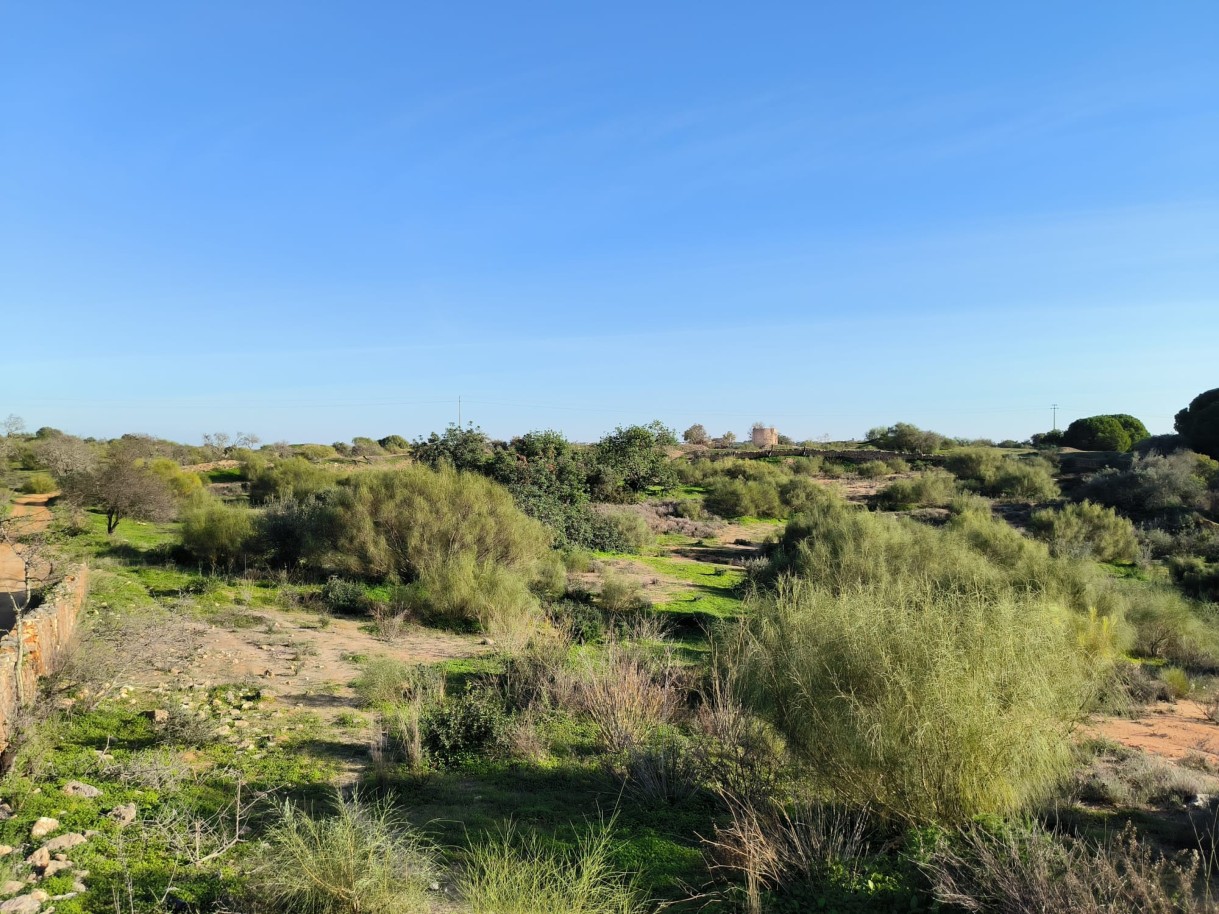 Fantastic Land, for construction, for sale, in Pêra, Algarve_245902