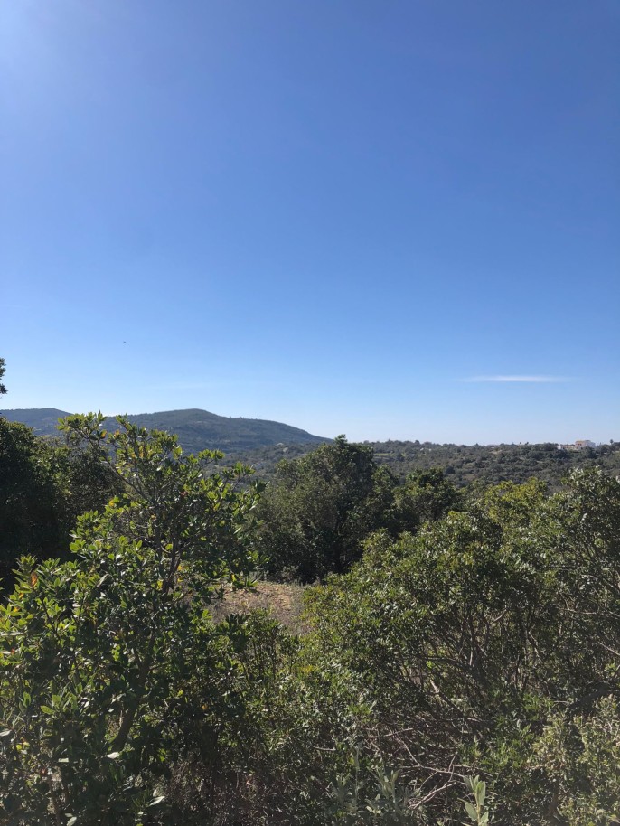 Land for sale in São Brás de Alportel, Portugal — €300,000