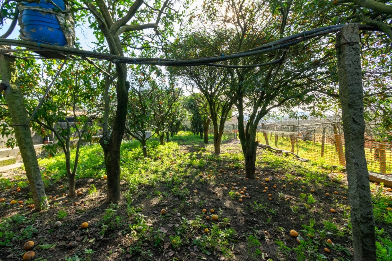 Drei-Schlafzimmer-Villa mit Grundstück in Gondomar, zu verkaufen, Portugal_251010
