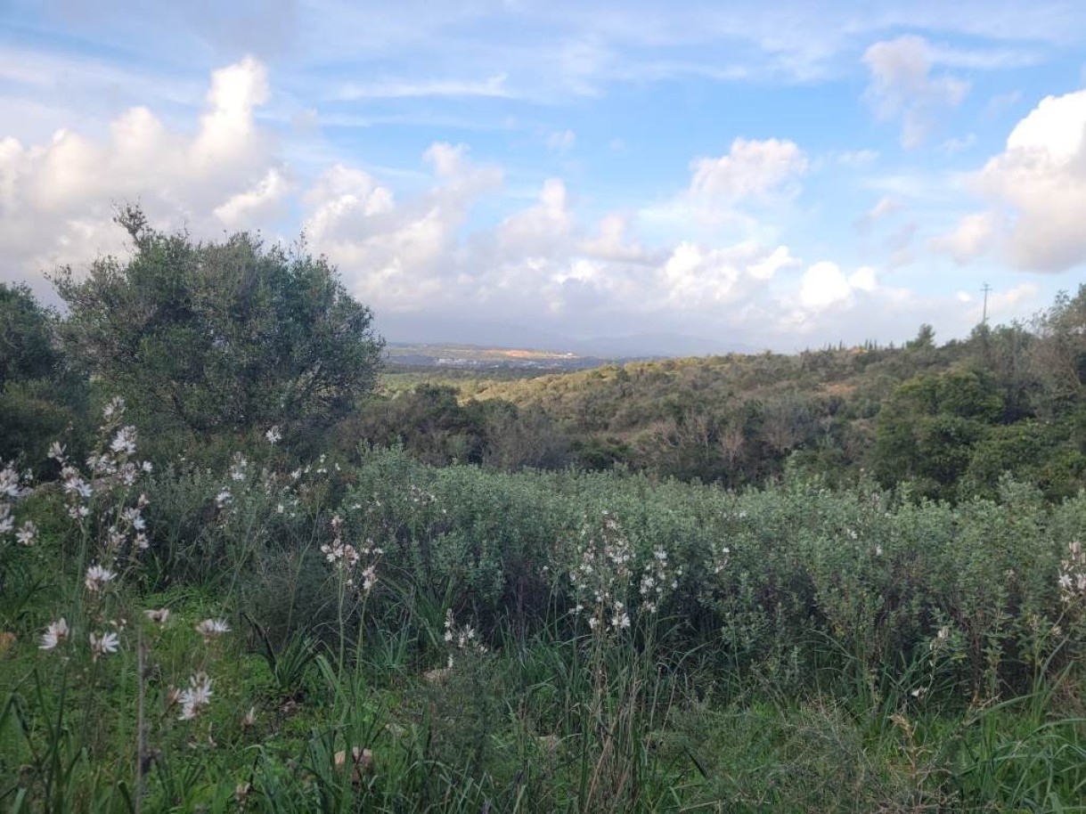 Großzügiges Grundstück in Odiáxere, Algarve, zu verkaufen_251991