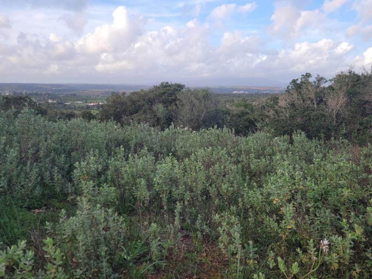 Generous plot of land, for sale, in Odiáxere, Algarve_251995