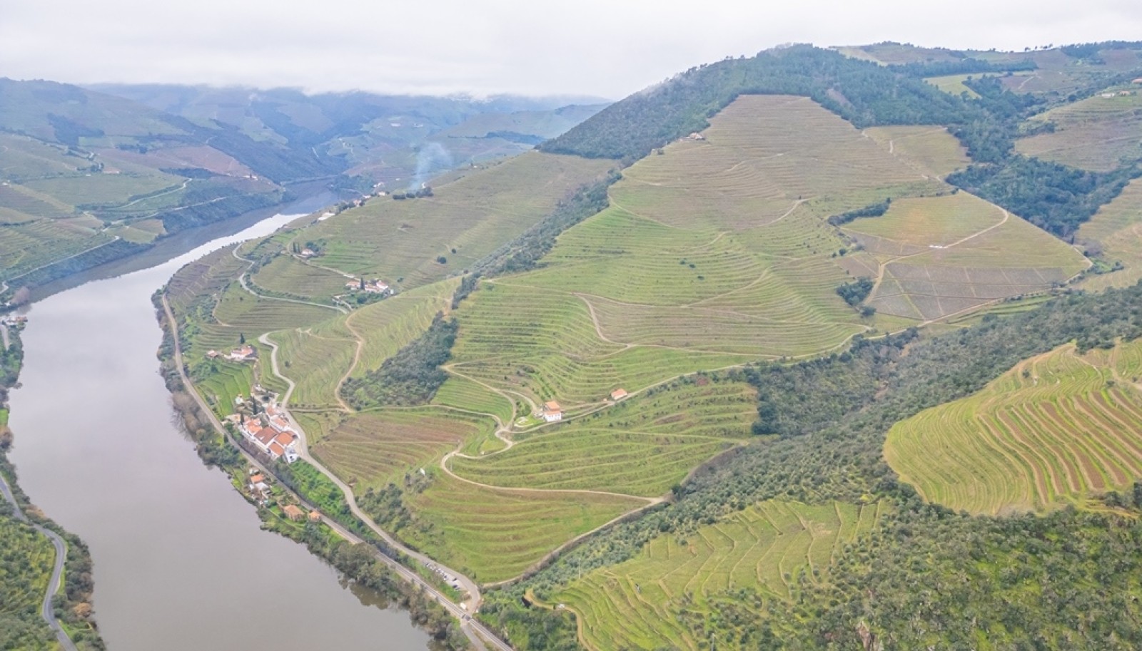 Quinta vinícola com vista sobre o rio, para venda, no Pinhão, Douro Valley_252017
