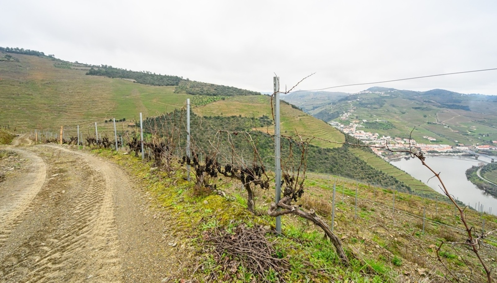 Domaine viticole avec vue sur la rivière, à vendre, à Pinhão, vallée du Douro, Portugal_252027