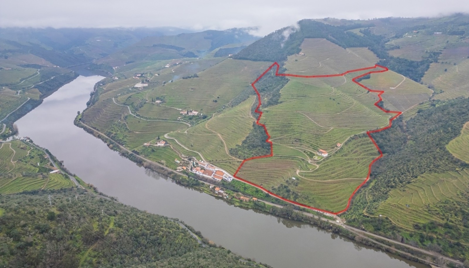 Quinta vinícola com vista sobre o rio, para venda, no Pinhão, Douro Valley_252033