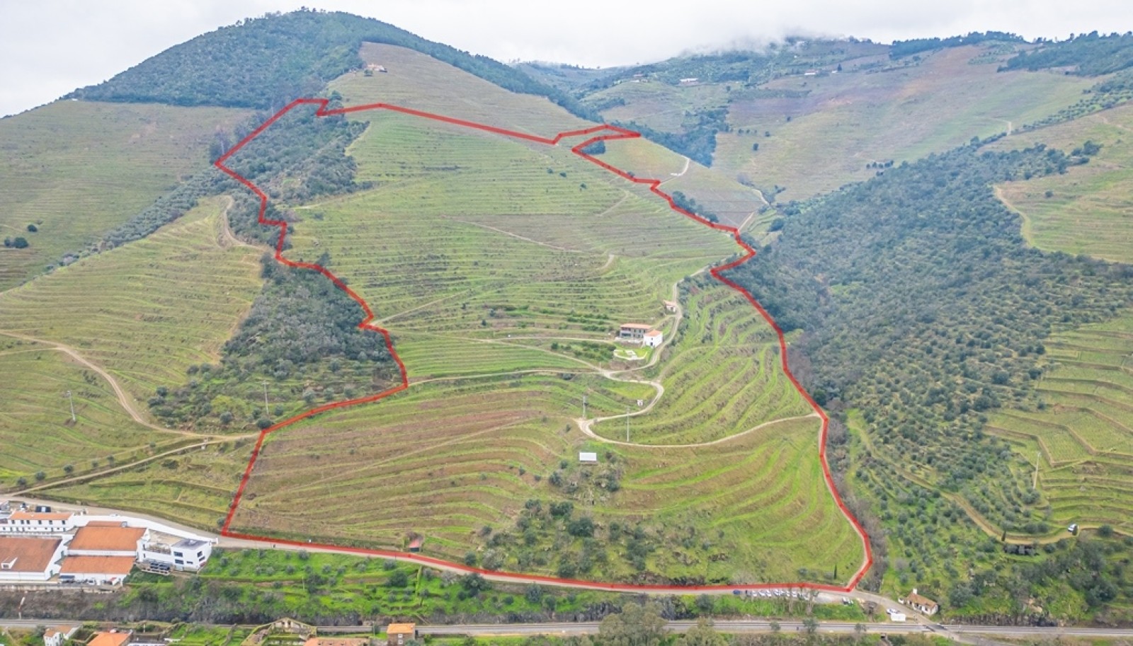Domaine viticole avec vue sur la rivière, à vendre, à Pinhão, vallée du Douro, Portugal_252034