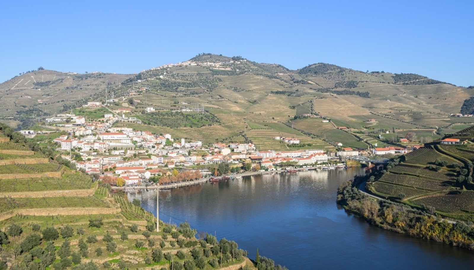 Domaine viticole avec vue sur la rivière, à vendre, à Pinhão, vallée du Douro, Portugal_252037
