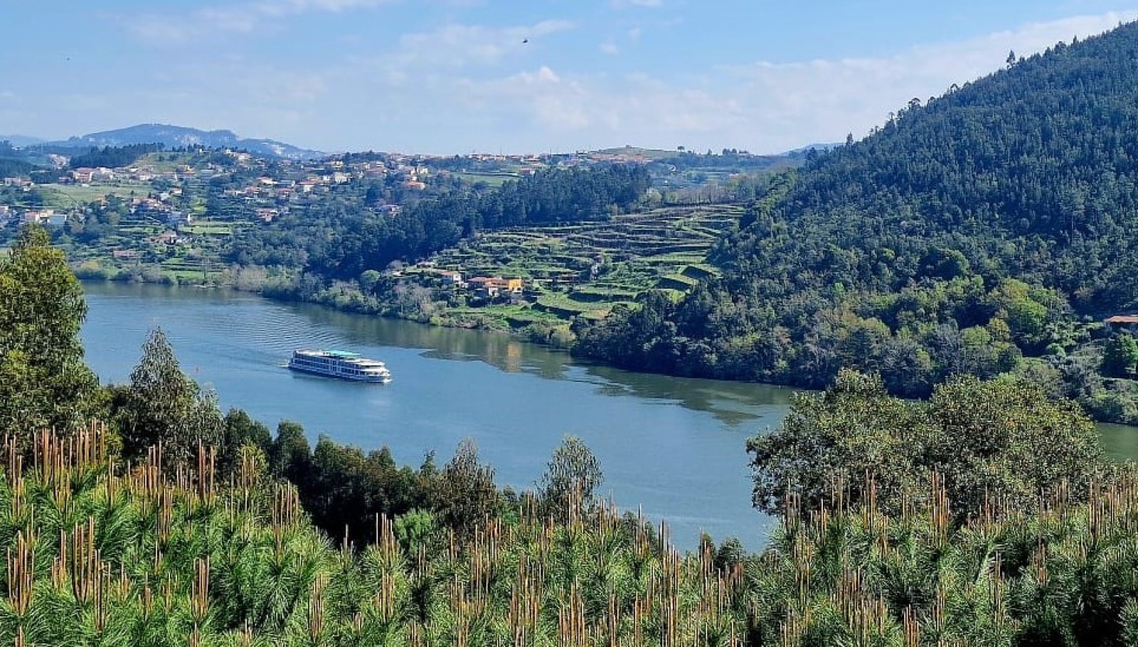 Quinta com vistas sobre o Rio Douro, Sebolido, Portugal_257722