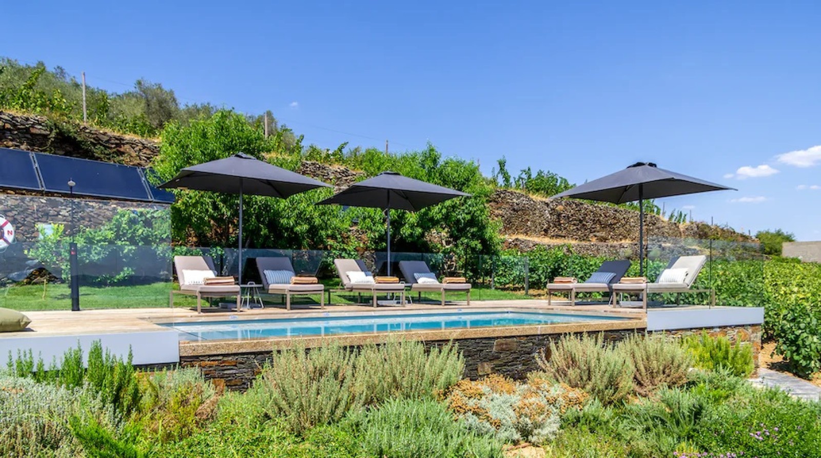 Propriété avec vignobles et piscine, à Provesende, Valée du Douro, Portugal_258814