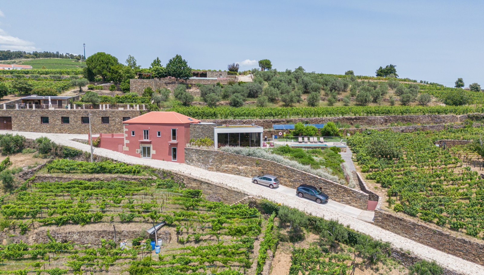 Propriedade com vinhas e piscina, em Provesende, Alto Douro Vinhateiro_258815