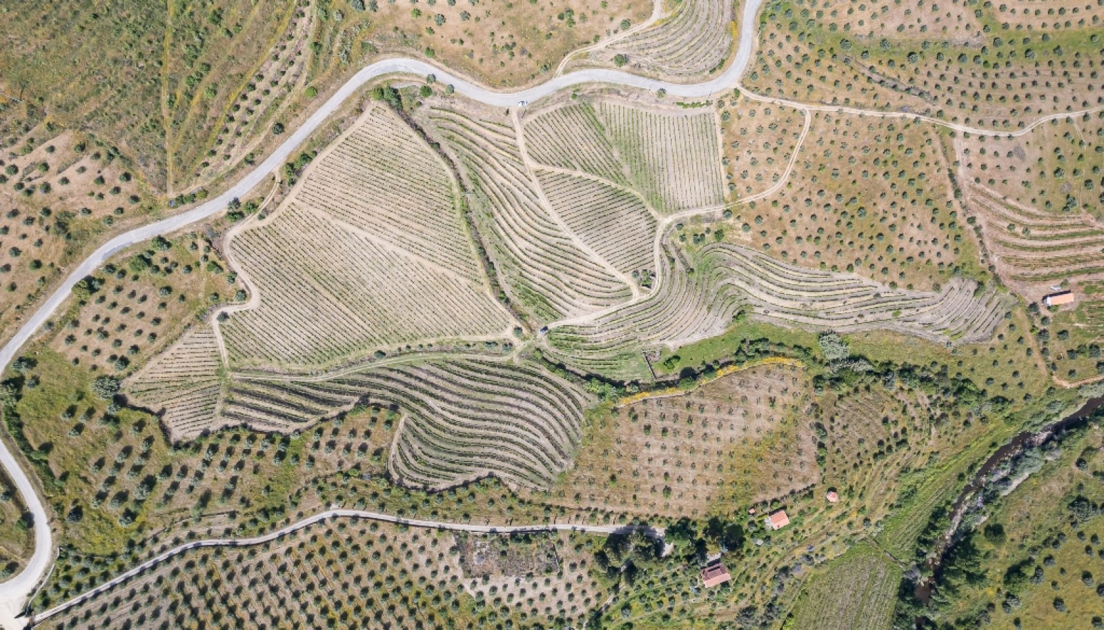 Propriété viticole, à vendre, Douro Valley, Vila Nova Foz Coa, Portugal_263320