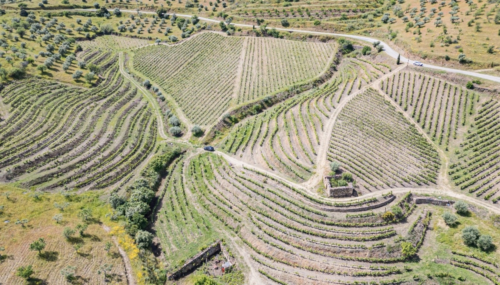 Propriété viticole, à vendre, Douro Valley, Vila Nova Foz Coa, Portugal_263341