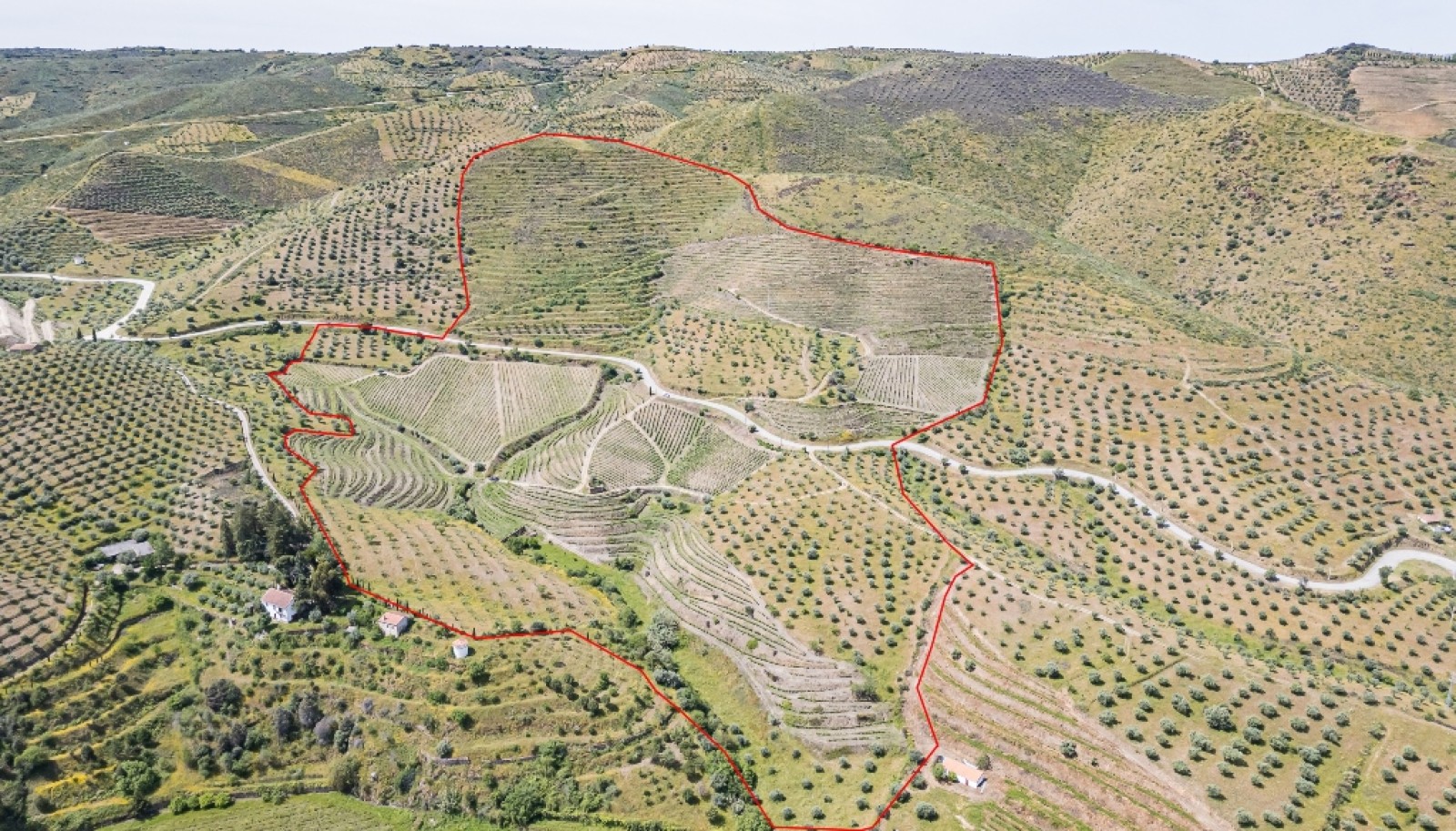 Propriété viticole, à vendre, Douro Valley, Vila Nova Foz Coa, Portugal_263649
