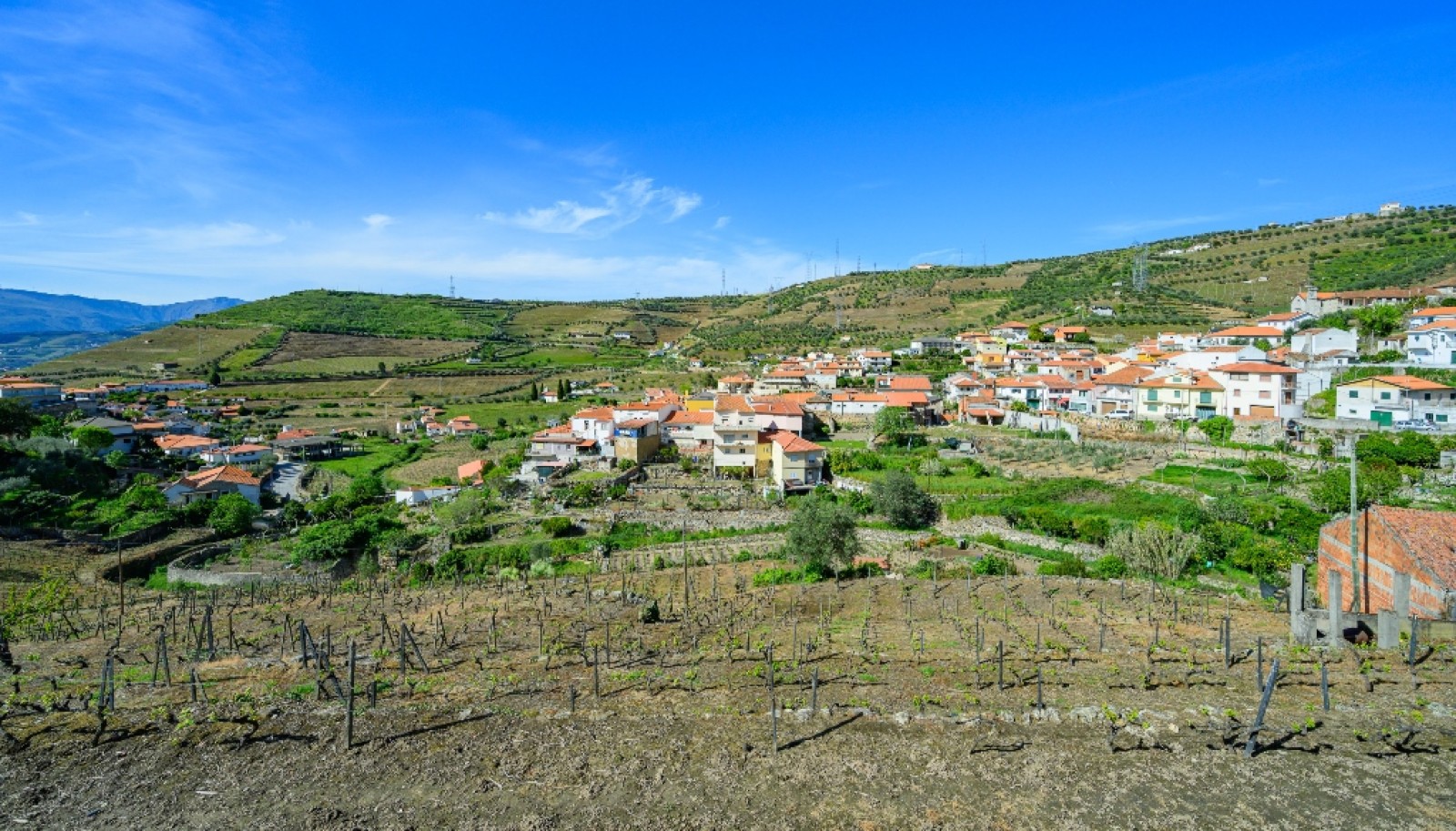 Quinta vinícola para venda no Alto Douro Vinhateiro, Douro Valley_263755