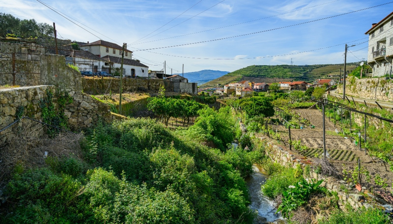 Quinta vinícola para venda no Alto Douro Vinhateiro, Douro Valley_263766