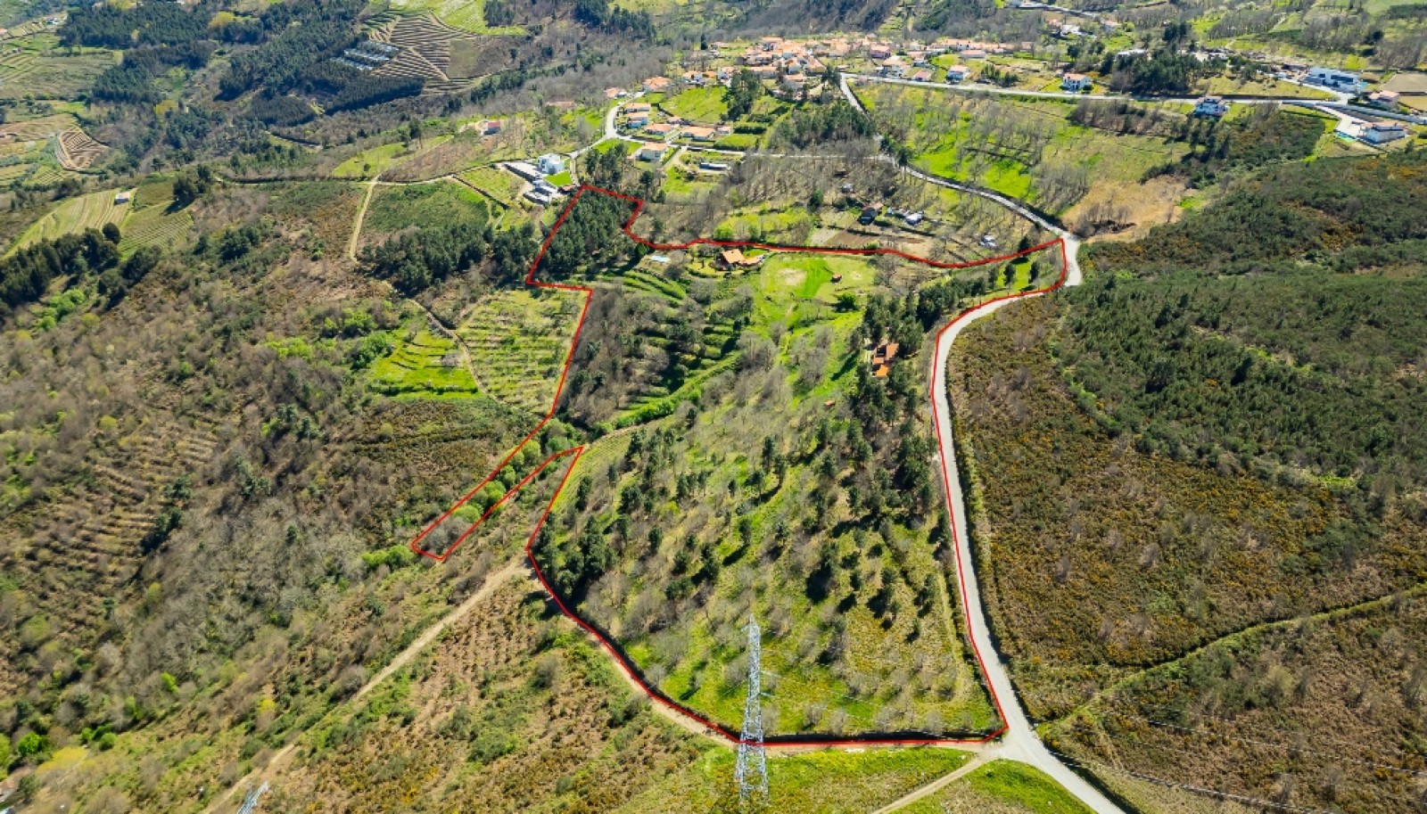 Quinta com casa e vistas de rio, em Lamego, Douro Valley, Portugal_263943